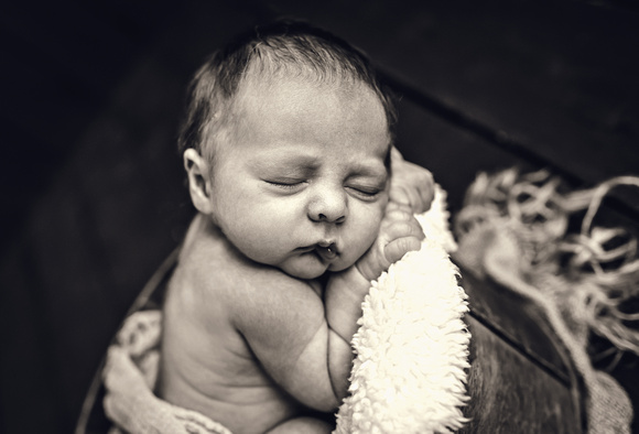 Amber Webb Photography | Ian Newborn Session | Photo 30